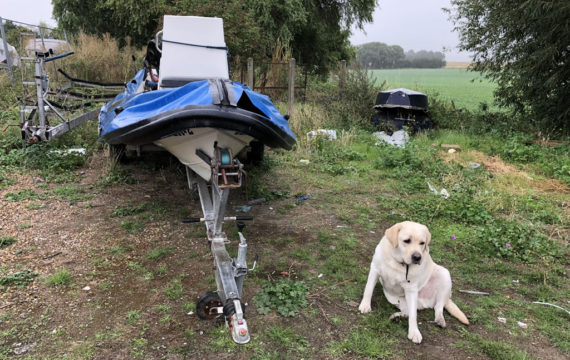 Essex Scrap Rib Removal