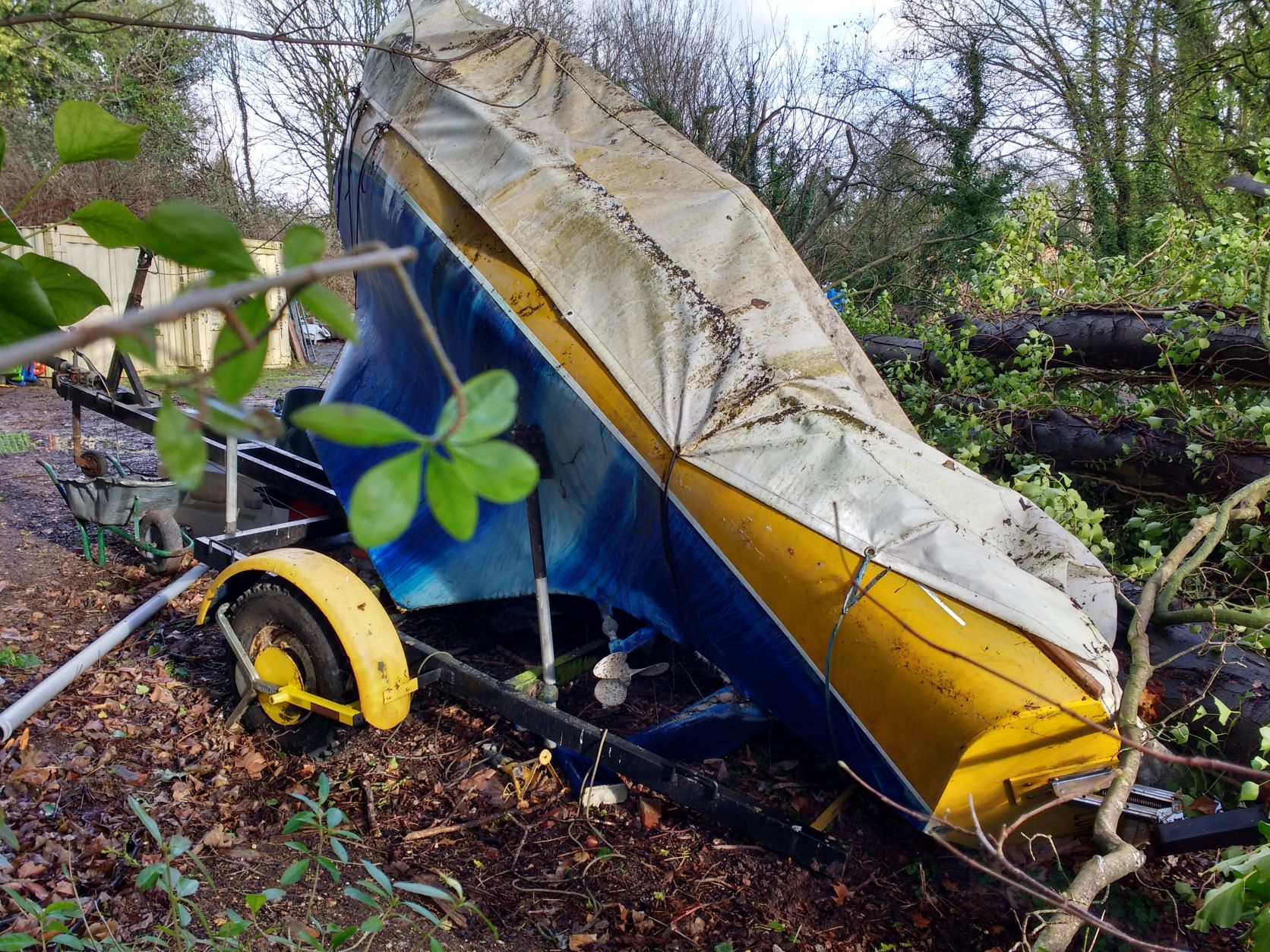 Tree Damaged Boat