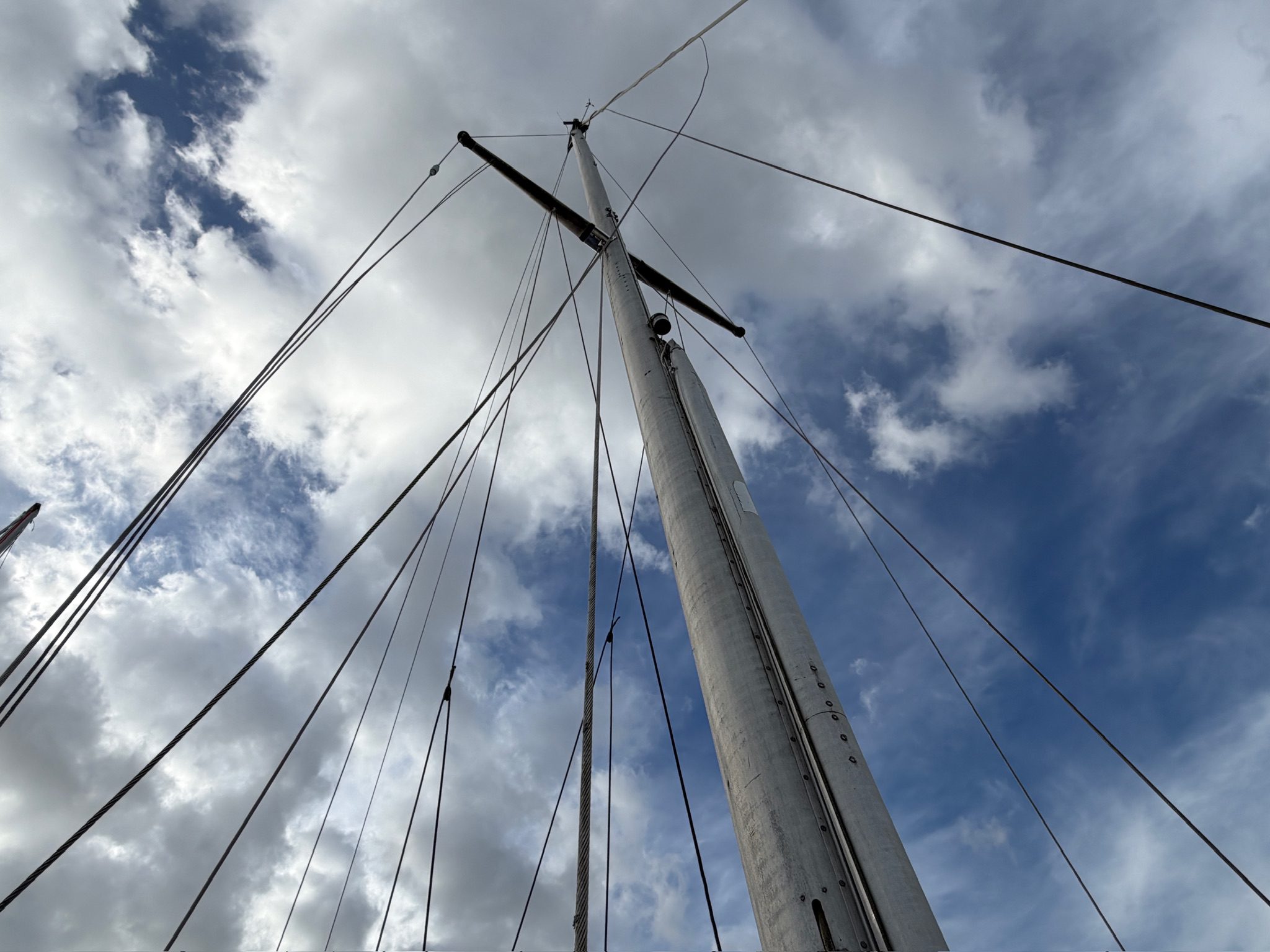 Colvic Countess 33 Pic 14